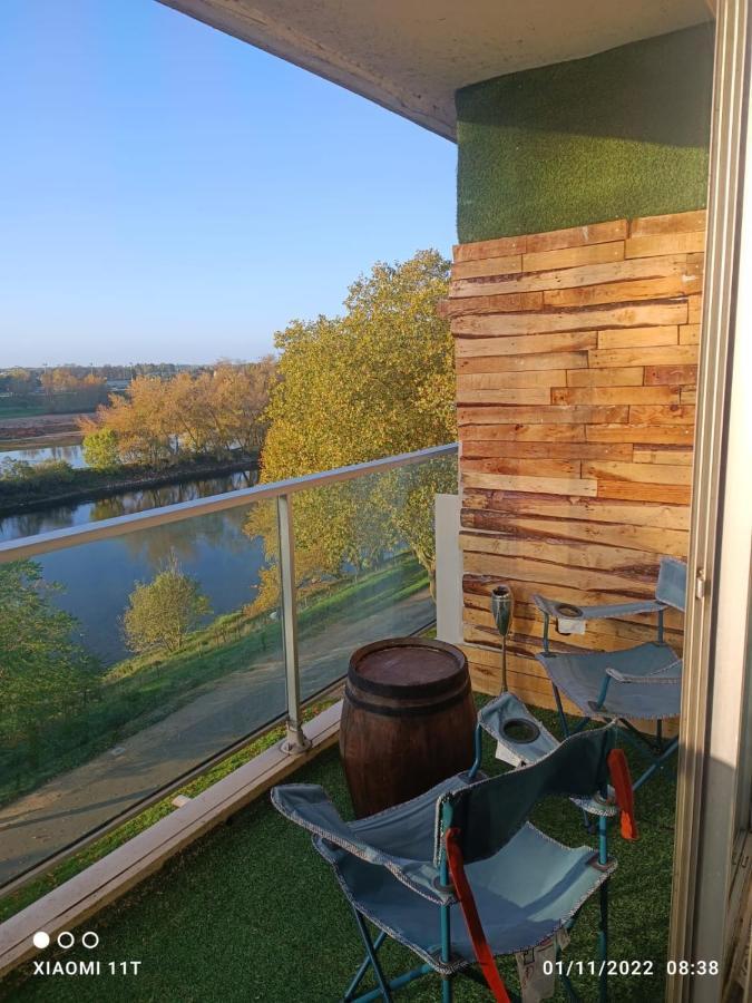 Petit Cocon Vue Sur La Loire Avec Place De Parking Offerte Орлеан Екстериор снимка